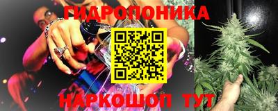 СК Пушкино