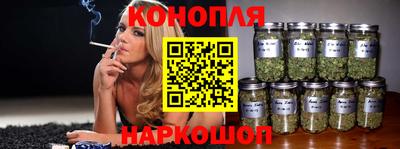 гидропоника Пугачёв