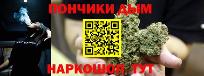 гидропоника Пугачёв