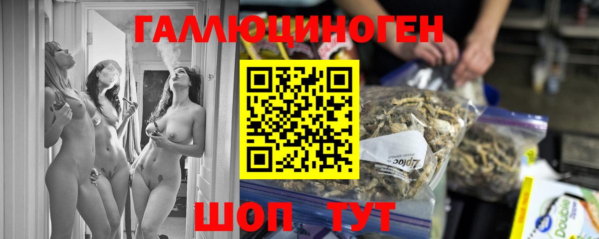 Псилоцибиновые грибы ЛСД Новоалтайск