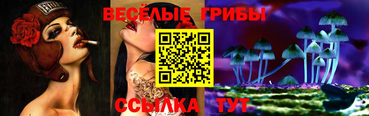 Новоалтайск  Псилоцибиновые грибы MAGIC MUSHROOMS  Вход с VPN 